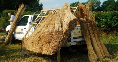 Thatching display by Richard Dray