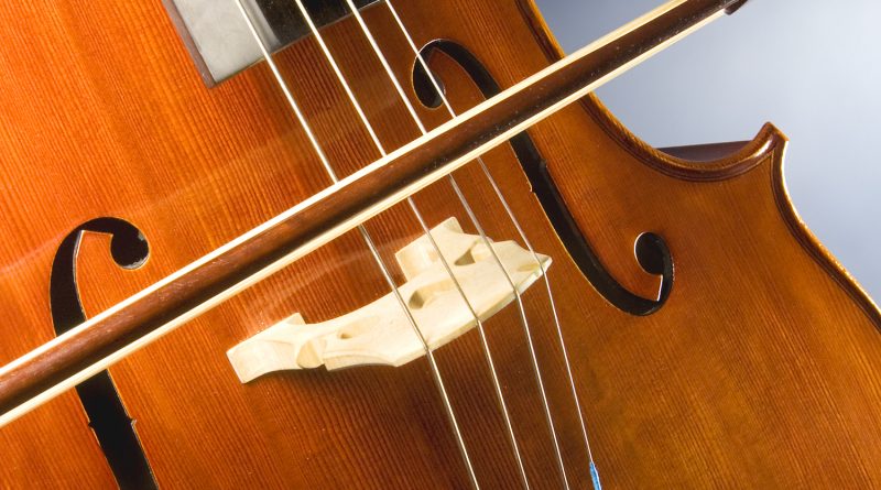 A close up of a cello