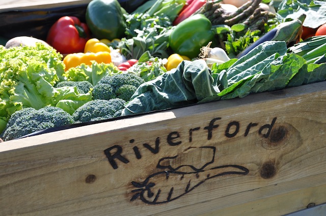 A Riverford Farm organic veg box