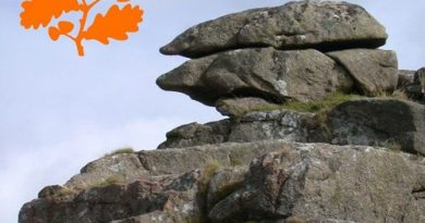 Image of Trow Tor superimposed with the National Trust logo