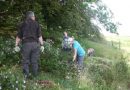 Dartmoor Invasives Project