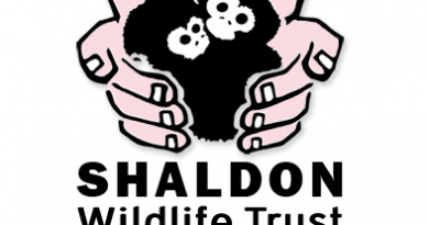 Shaldon Wildlife Trust