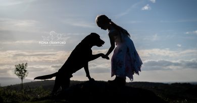 Devon Horse and Dog Photographer – Fiona Crawford