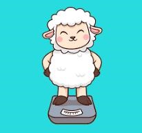 Guess the Weight of These Sheep