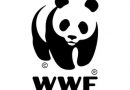 WWF