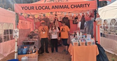 Gables Dogs & Cats Home